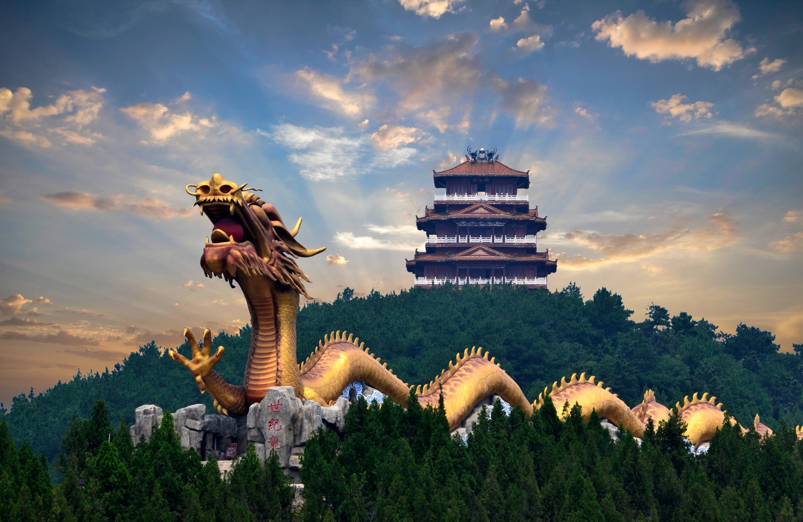 世纪龙