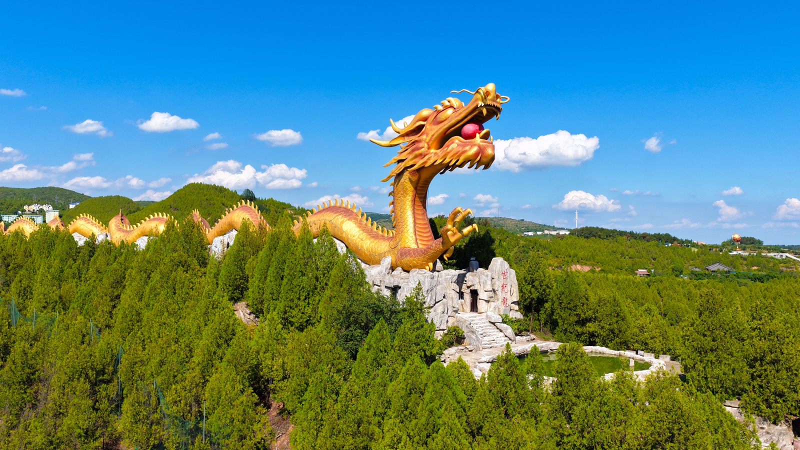 世纪龙 实景照片 2