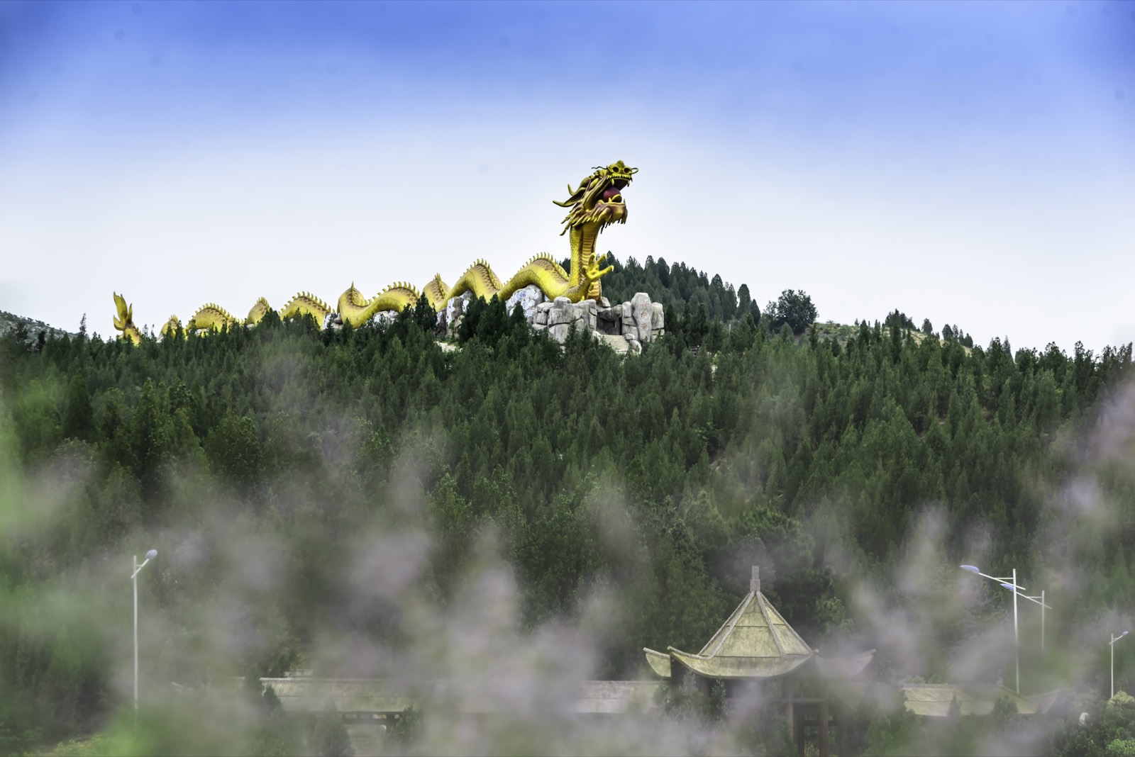 世纪龙 实景照片 3